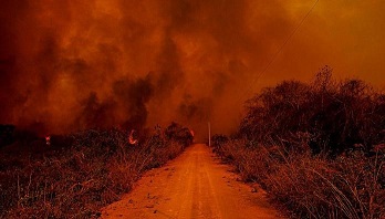 Pars en Syrie...Au Paradis