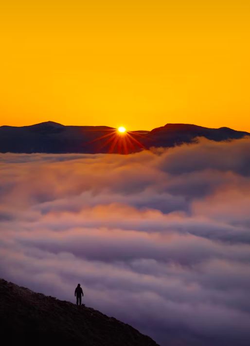 Crédits : Joshua Earle