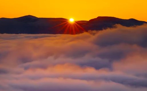 Crédits : Joshua Earle